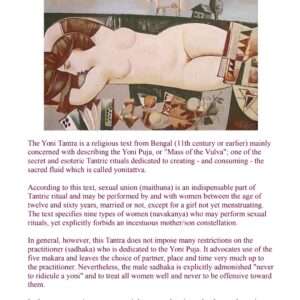 प्राचीन YONi तांत्रिक पुस्तक – यंत्र, मंत्र और दोष निवारण उपाय (English Original Scanned PDF)